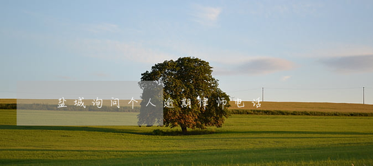 盐城询问个人逾期律师电话-江盐城律师免咨询热线
